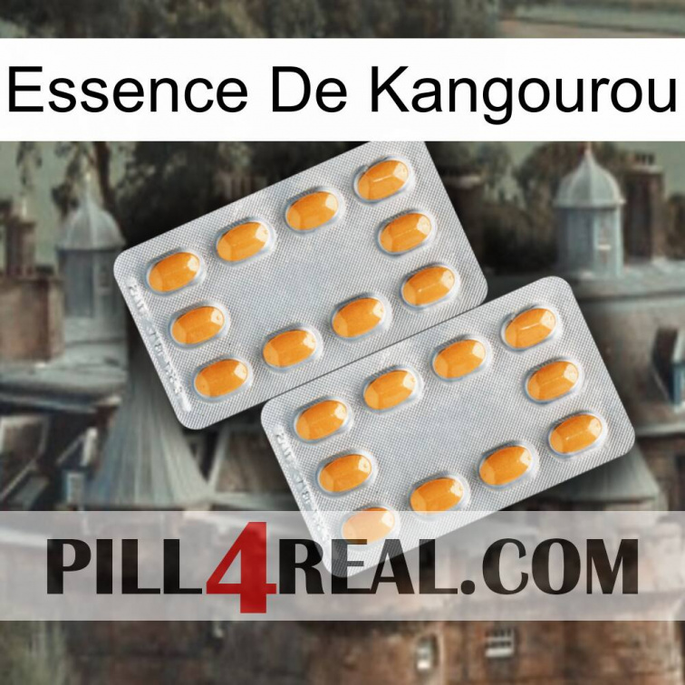 Kangaroo Essence cialis4